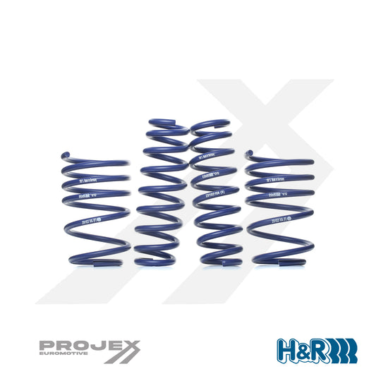 BMW (E92) Race Lowering Spring Set - H&R